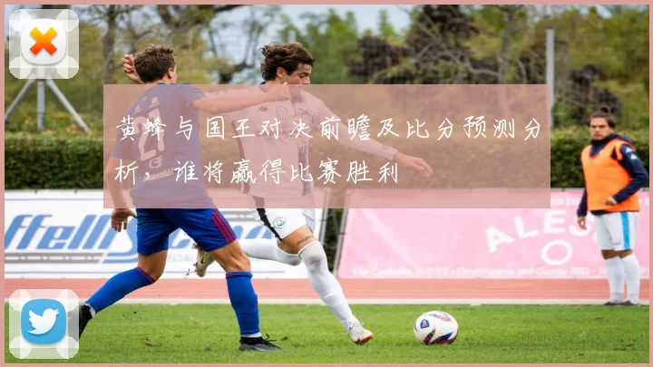 黄蜂与国王对决前瞻及比分预测分析，谁将赢得比赛胜利