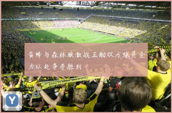 黄蜂与森林狼激战正酣双方球员全力以赴争夺胜利