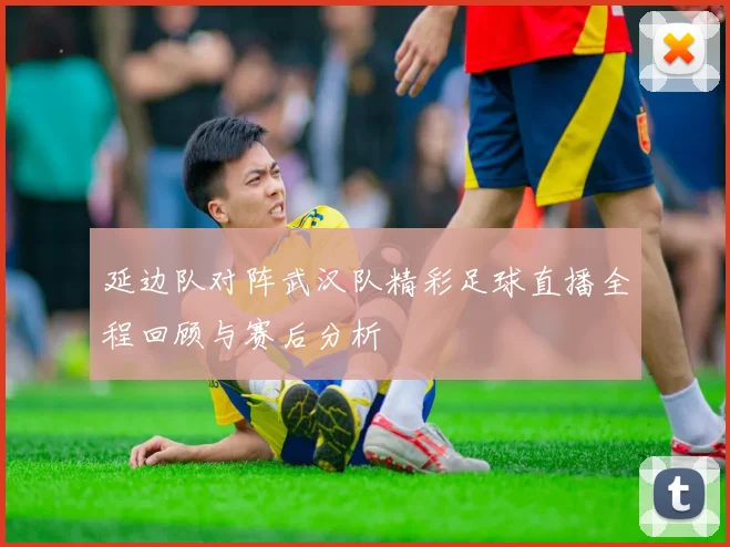 延边队对阵武汉队精彩足球直播全程回顾与赛后分析