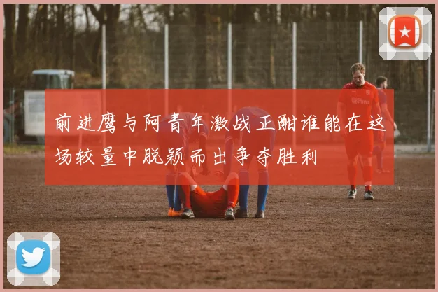 前进鹰与阿青年激战正酣谁能在这场较量中脱颖而出争夺胜利