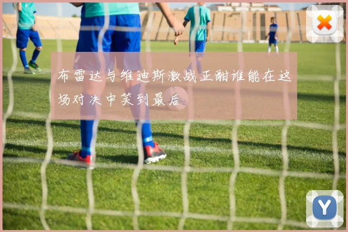 布雷达与维迪斯激战正酣谁能在这场对决中笑到最后