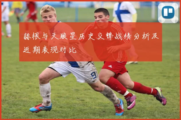赫根与天狼星历史交锋战绩分析及近期表现对比
