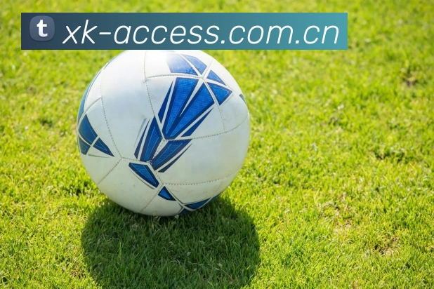 星空体育平台生态图